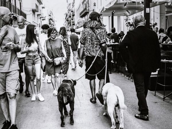 A photo from Bronica ETRSi with Zeznazon 75/2.8 lens