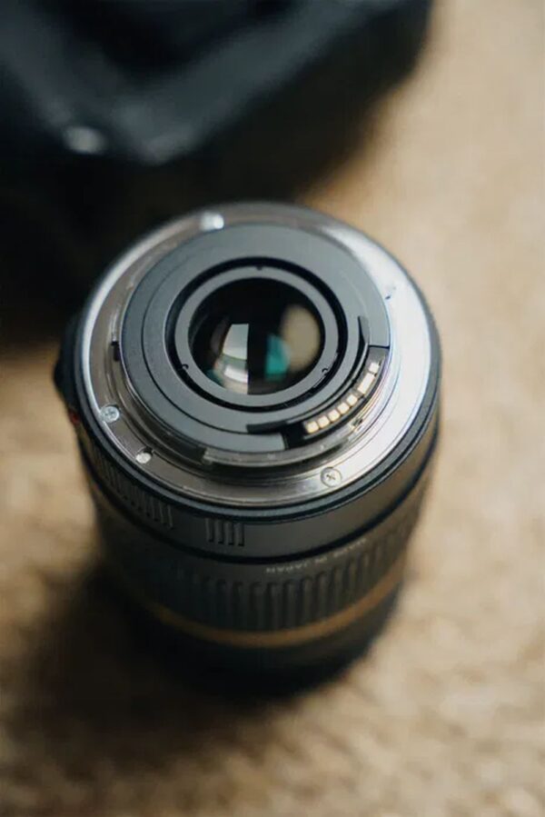 Canon EOS 1D Mark III with Tamron 28-75 (IF) Macro